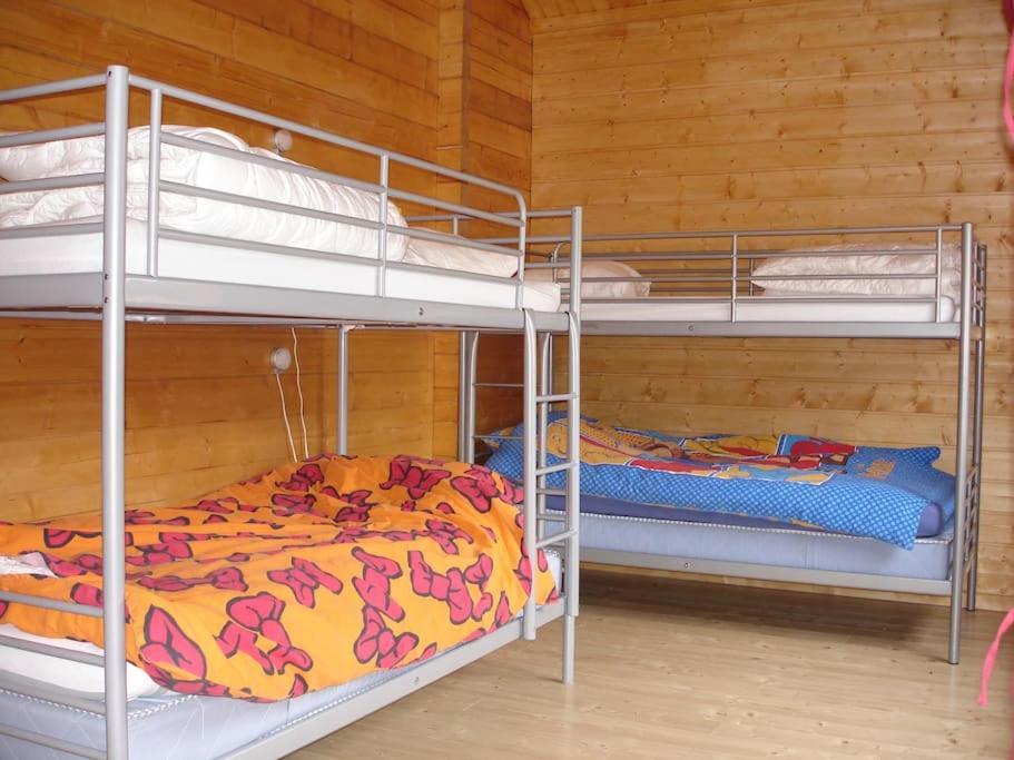 Grand Valtin : Chalet Ecolo 4 Etoiles 14 Personnes Ban-sur-Meurthe-Clefcy ภายนอก รูปภาพ